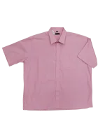 Bright Pink