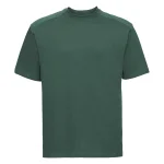 Bottle Green